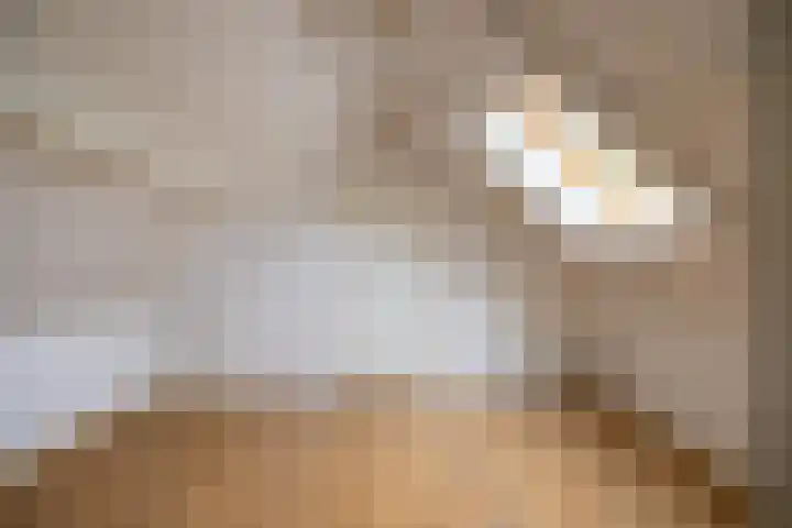 Deldenseweg 2 Vorden thumbnail 73