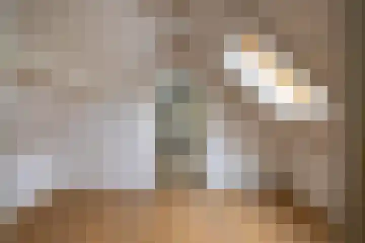 Deldenseweg 2 Vorden thumbnail 74