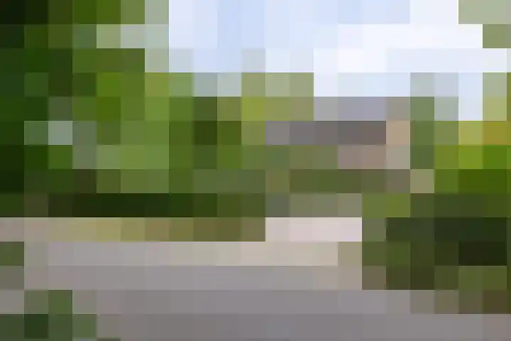 Deldenseweg 2 Vorden thumbnail 80