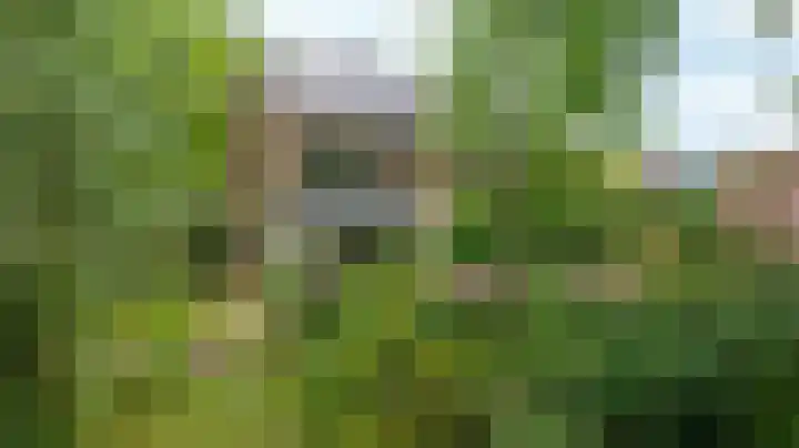 Deldenseweg 2 Vorden thumbnail 82