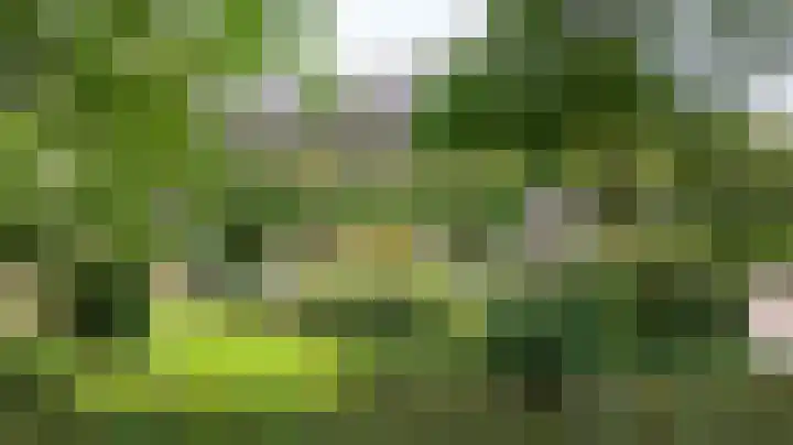 Deldenseweg 2 Vorden thumbnail 83