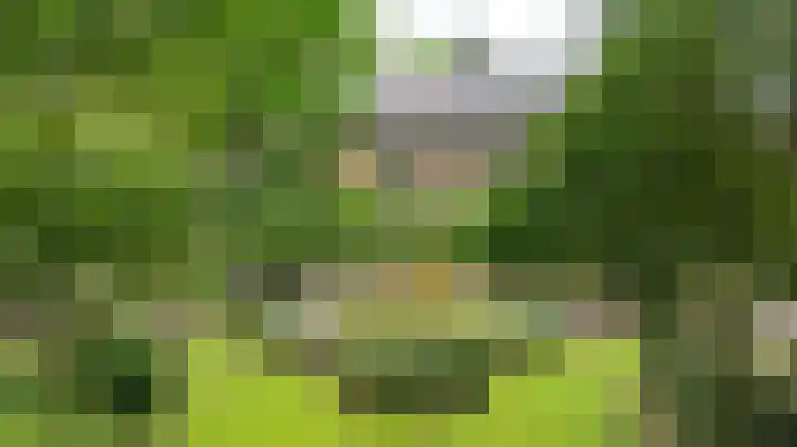 Deldenseweg 2 Vorden thumbnail 85