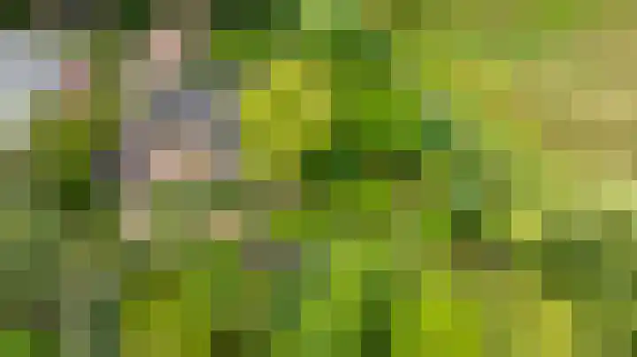 Deldenseweg 2 Vorden thumbnail 86