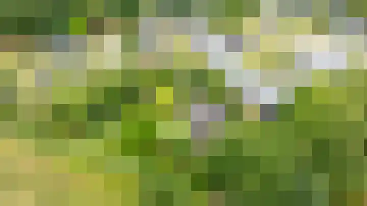 Deldenseweg 2 Vorden thumbnail 87