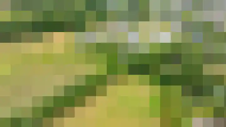 Deldenseweg 2 Vorden thumbnail 88
