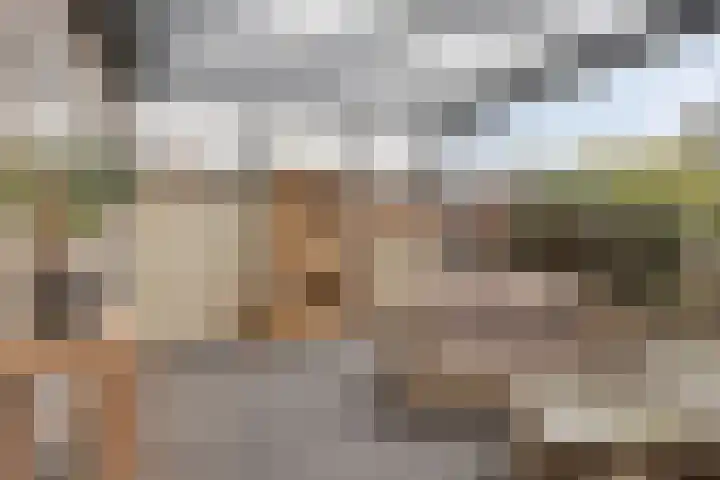 Deldenstraat 55 Tilburg thumbnail 20