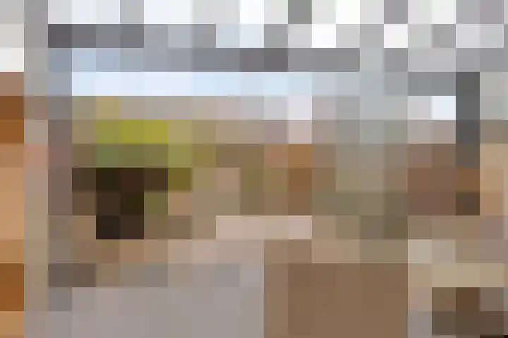 Deldenstraat 55 Tilburg thumbnail 38