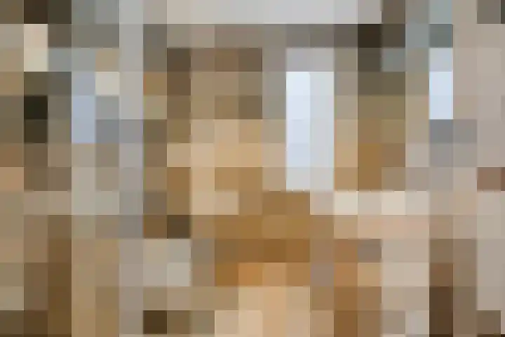 Deldenstraat 55 Tilburg thumbnail 5