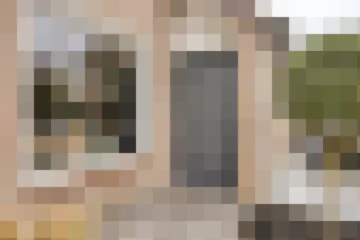 Deldenstraat 55 Tilburg thumbnail 7