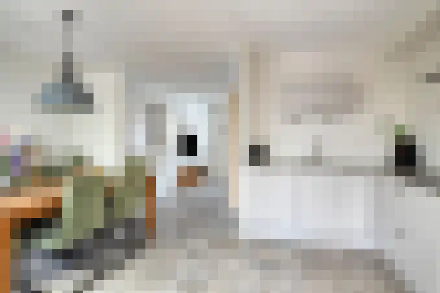 Deldenstraat 8 Tilburg thumbnail 10