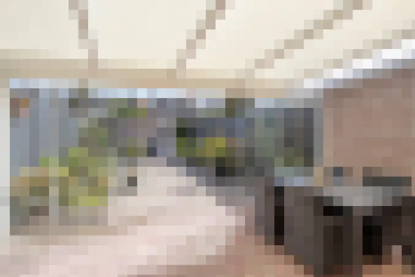 Deldenstraat 8 Tilburg thumbnail 28