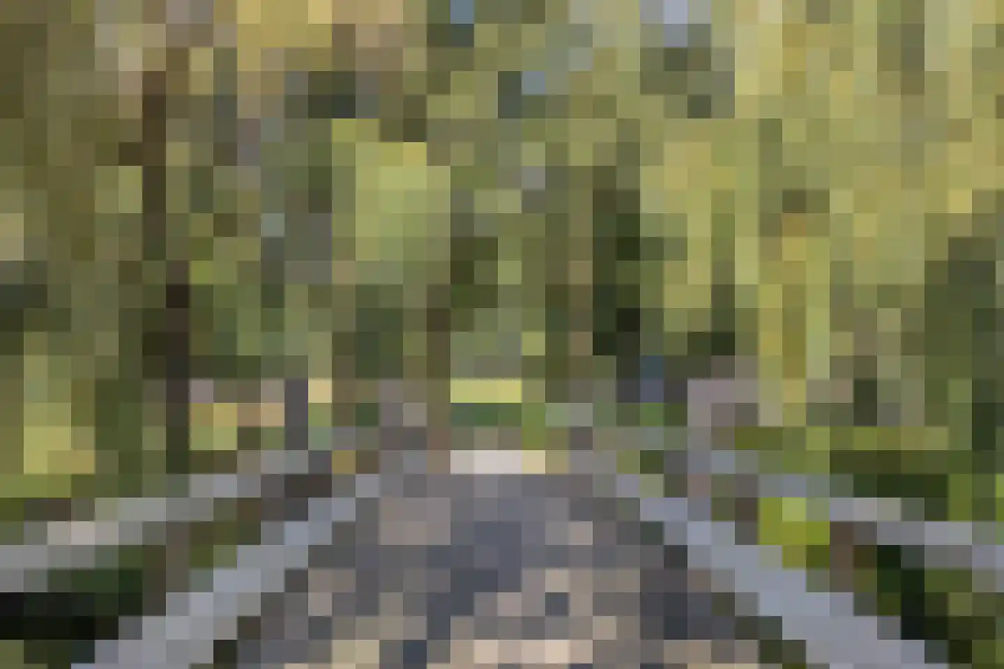 Deldenstraat 8 Tilburg thumbnail 32