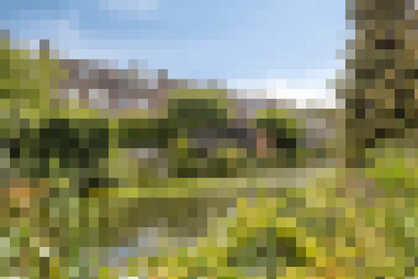 Deldenstraat 8 Tilburg thumbnail 33