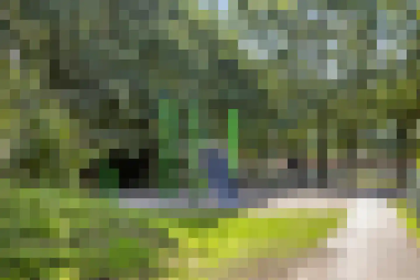 Deldenstraat 8 Tilburg thumbnail 34