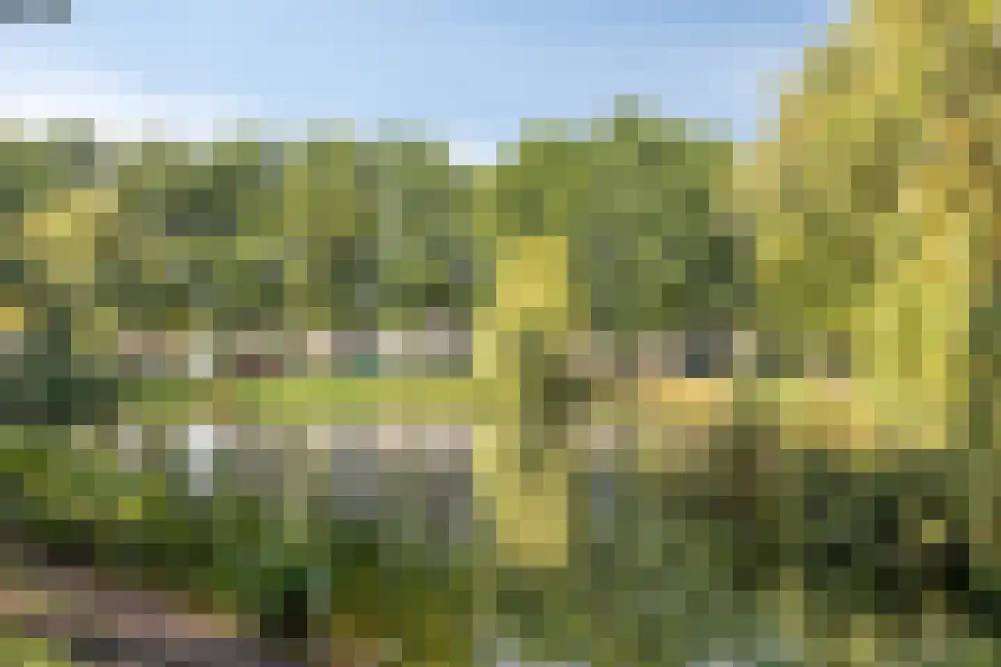 Deldenstraat 8 Tilburg thumbnail 36