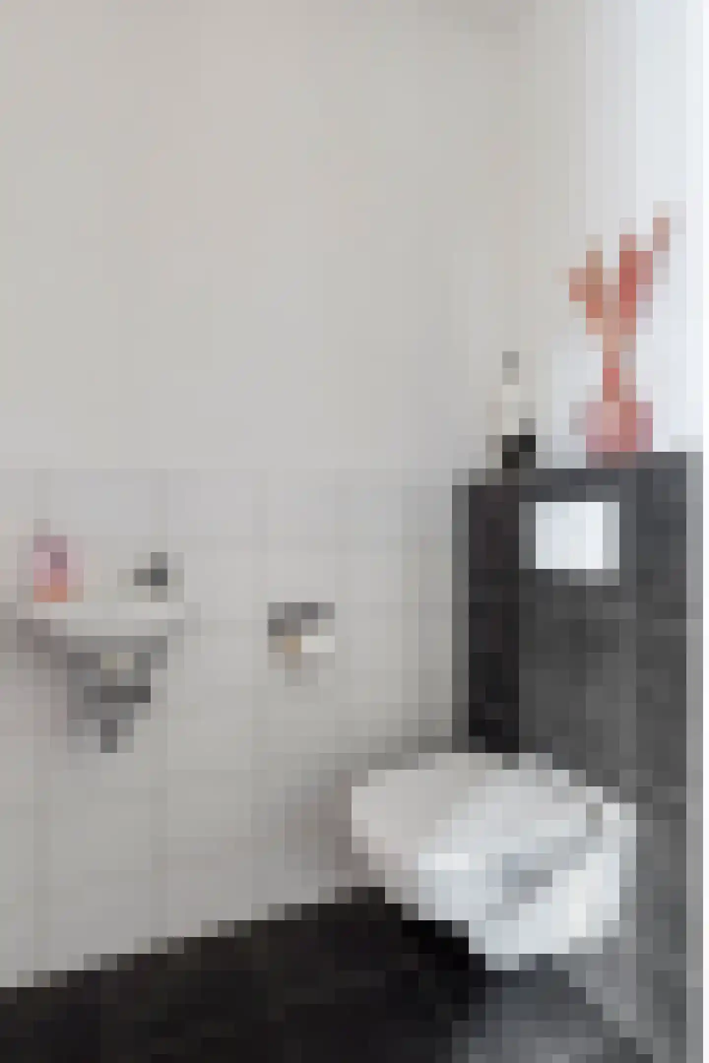 Delderveenweg 14 Zwartebroek thumbnail 13