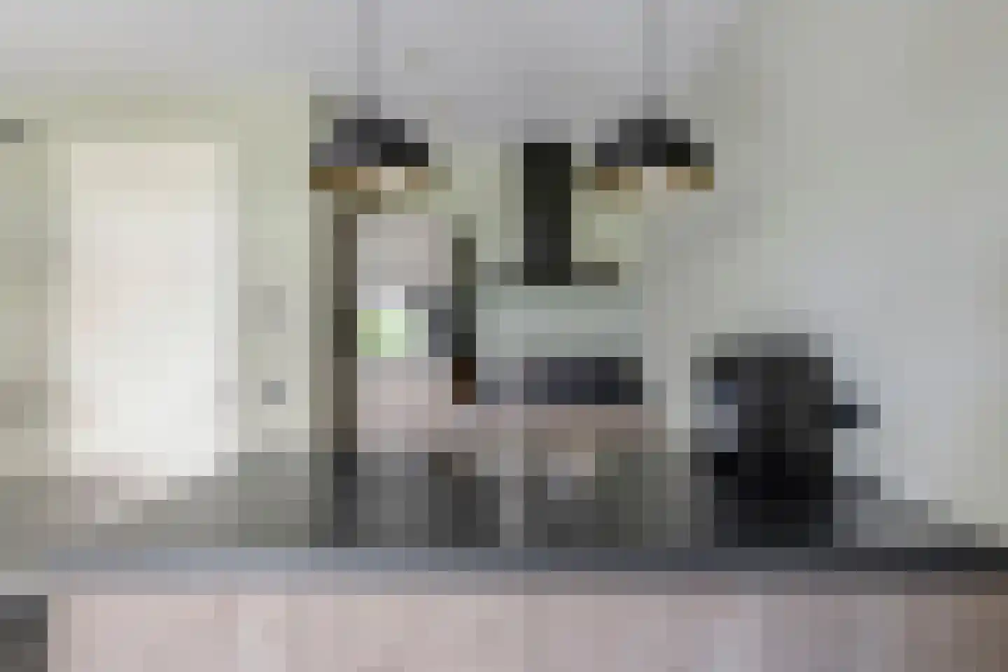 Delderveenweg 14 Zwartebroek thumbnail 27