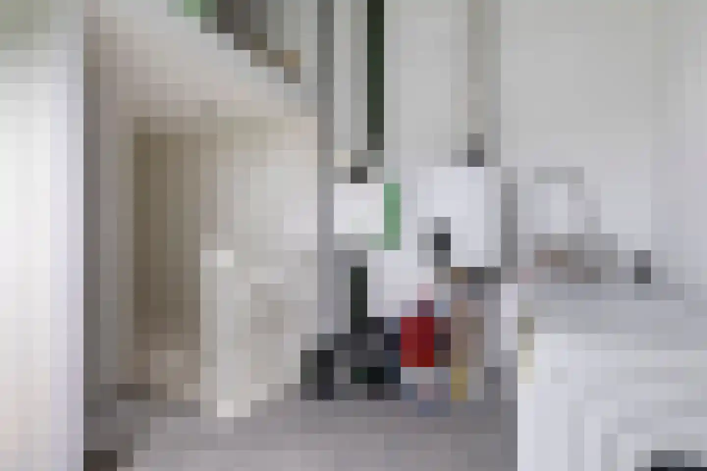 Delderveenweg 14 Zwartebroek thumbnail 40