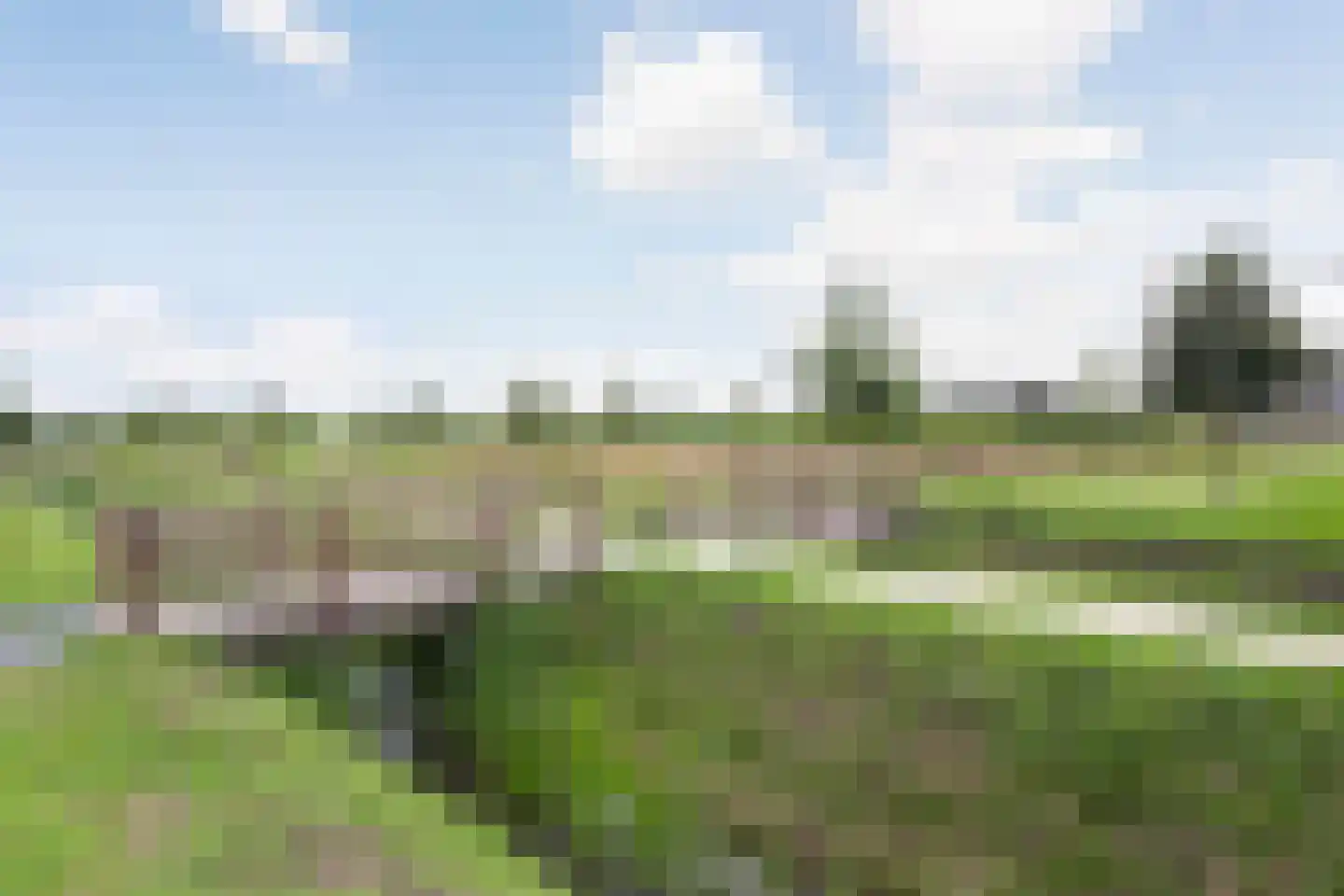 Delderveenweg 14 Zwartebroek thumbnail 56