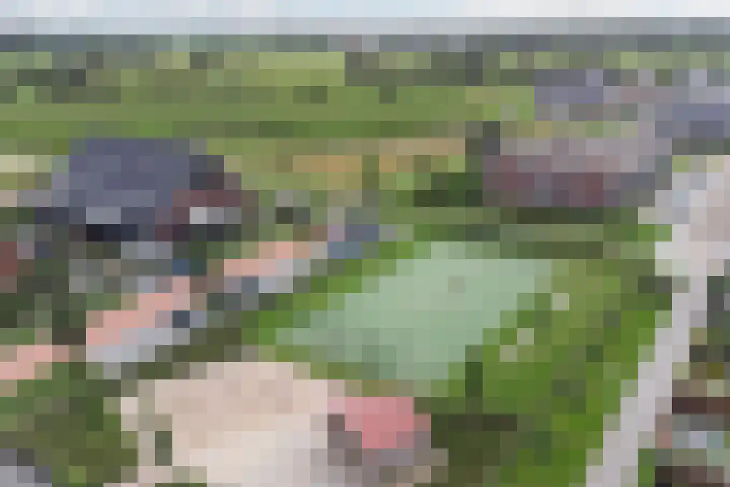 Delderveenweg 14 Zwartebroek thumbnail 58