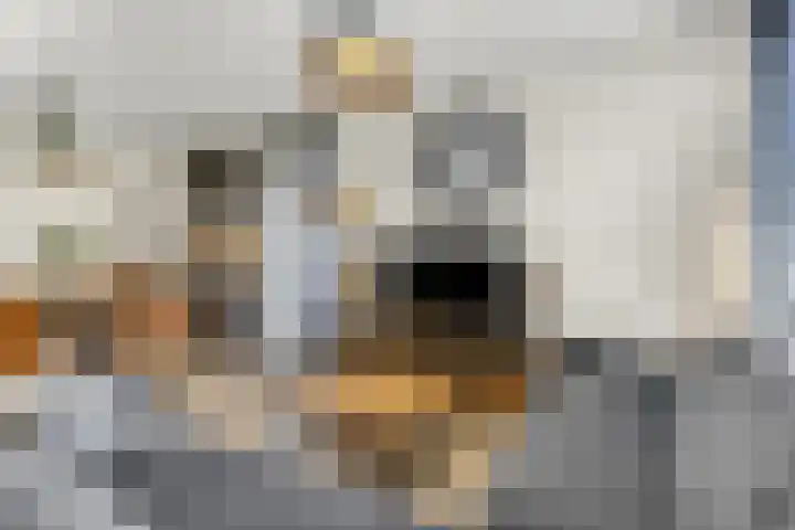 Delderveenweg 18 Zwartebroek thumbnail 11
