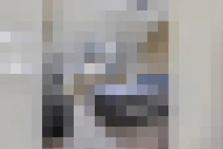 Delderveenweg 18 Zwartebroek thumbnail 20