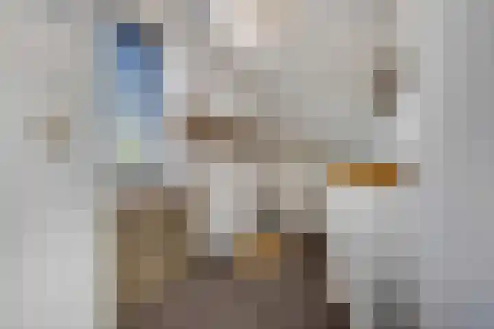 Delderveenweg 18 Zwartebroek thumbnail 22