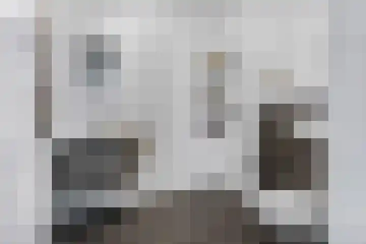 Delderveenweg 18 Zwartebroek thumbnail 24