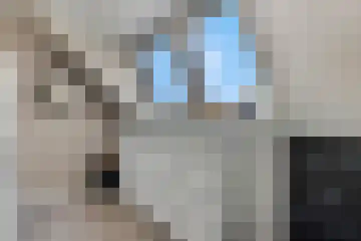 Delderveenweg 18 Zwartebroek thumbnail 27