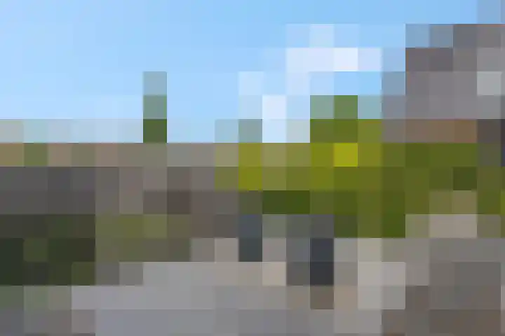 Delderveenweg 18 Zwartebroek thumbnail 30