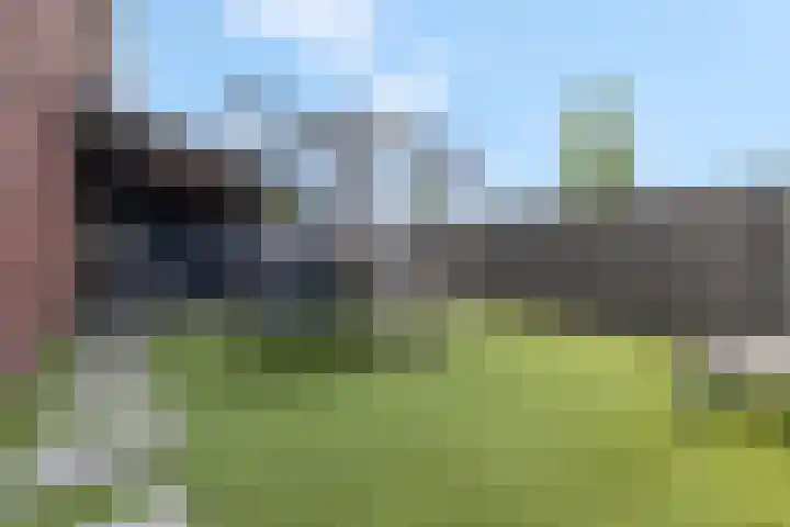 Delderveenweg 18 Zwartebroek thumbnail 31
