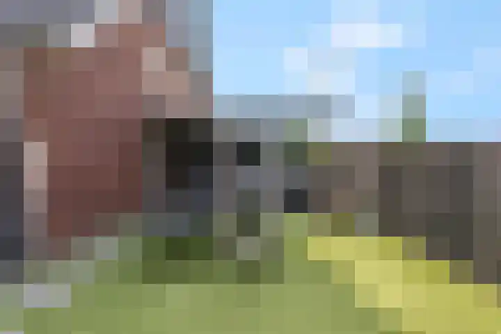 Delderveenweg 18 Zwartebroek thumbnail 32