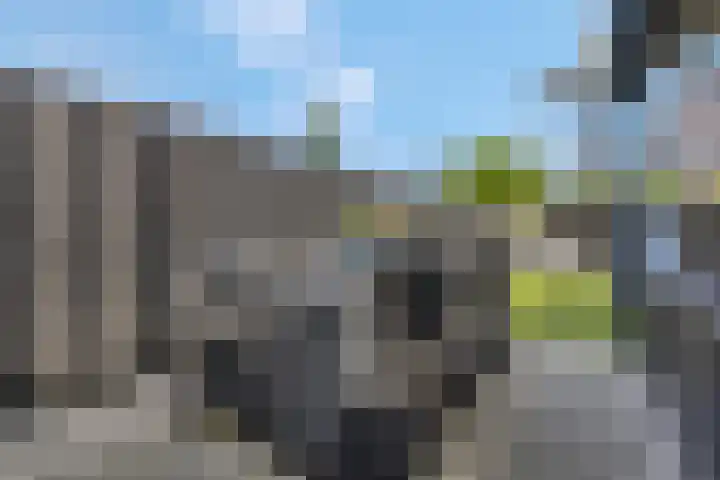 Delderveenweg 18 Zwartebroek thumbnail 35