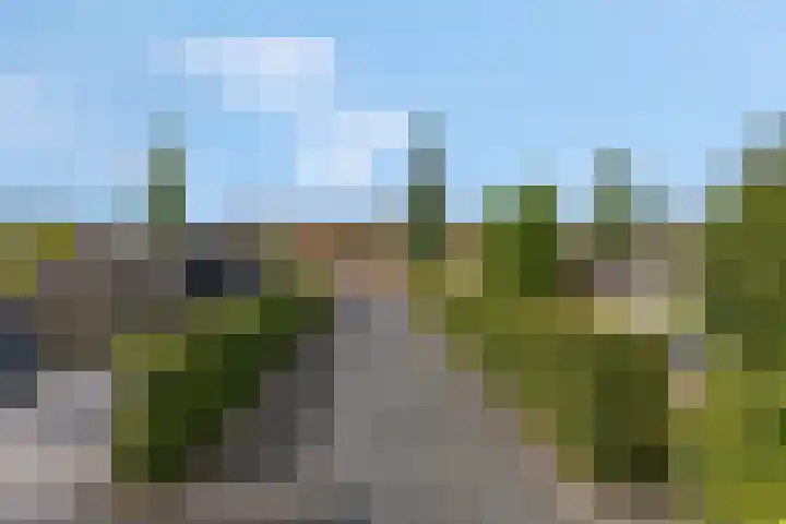 Delderveenweg 18 Zwartebroek thumbnail 37