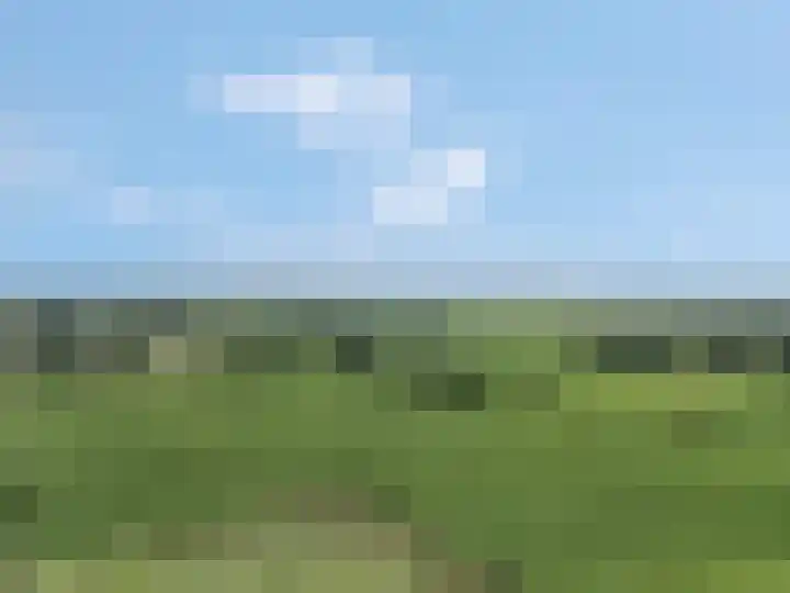 Delderveenweg 18 Zwartebroek thumbnail 38