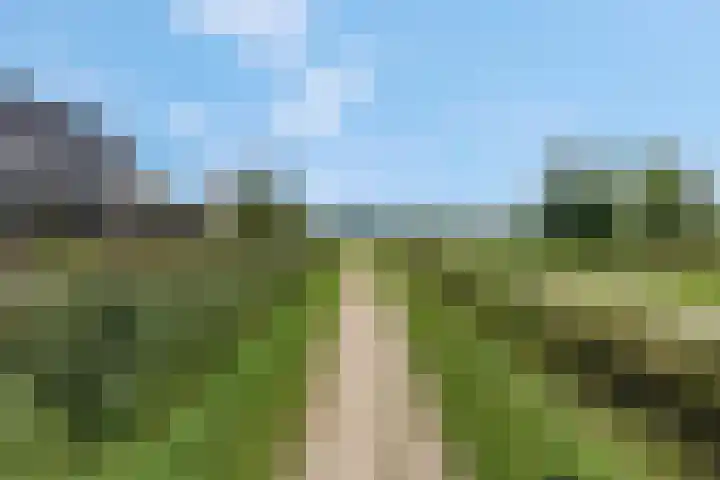 Delderveenweg 18 Zwartebroek thumbnail 39