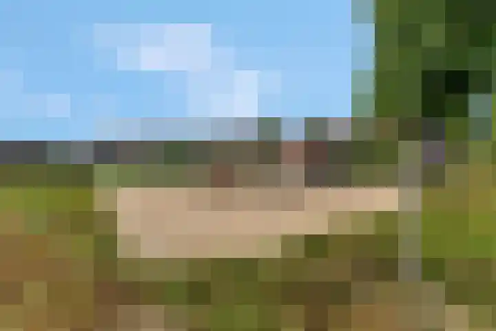 Delderveenweg 18 Zwartebroek thumbnail 40