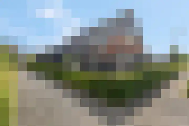 Delderveenweg 18 Zwartebroek thumbnail 7