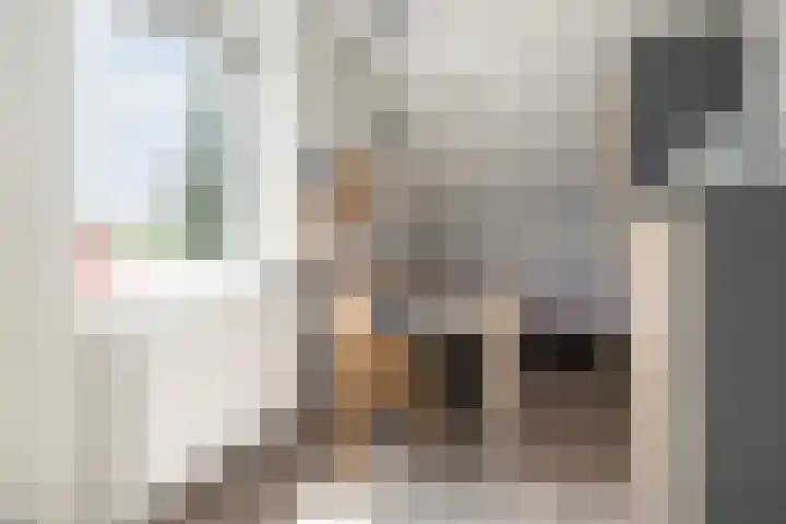 Delderveenweg 32 Zwartebroek thumbnail 17