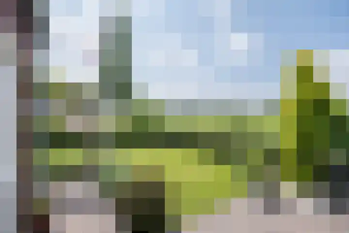 Delderveenweg 32 Zwartebroek thumbnail 27