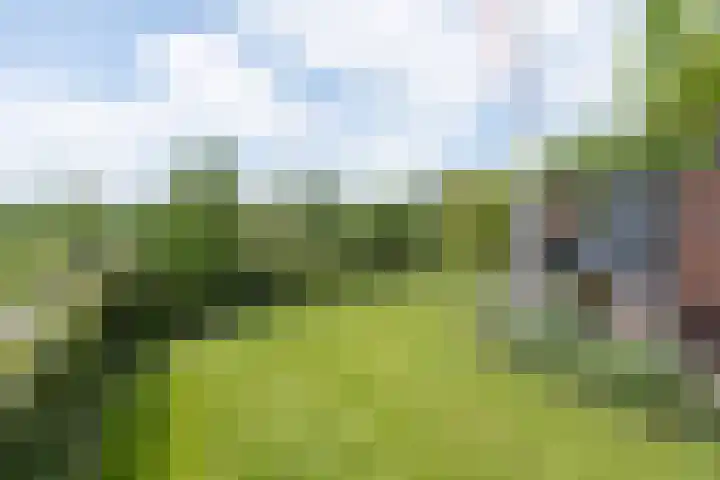 Delderveenweg 32 Zwartebroek thumbnail 28