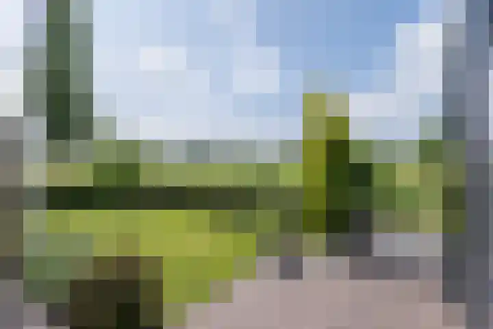 Delderveenweg 32 Zwartebroek thumbnail 29