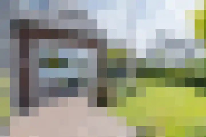 Delderveenweg 32 Zwartebroek thumbnail 30