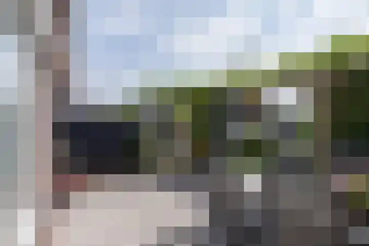 Delderveenweg 32 Zwartebroek thumbnail 31