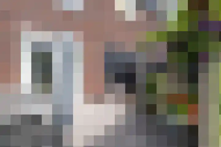 Delderveenweg 32 Zwartebroek thumbnail 33