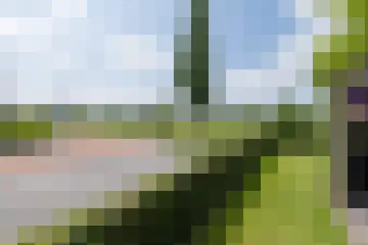 Delderveenweg 32 Zwartebroek thumbnail 34