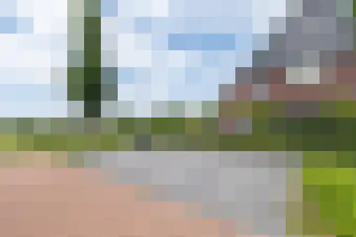Delderveenweg 32 Zwartebroek thumbnail 37