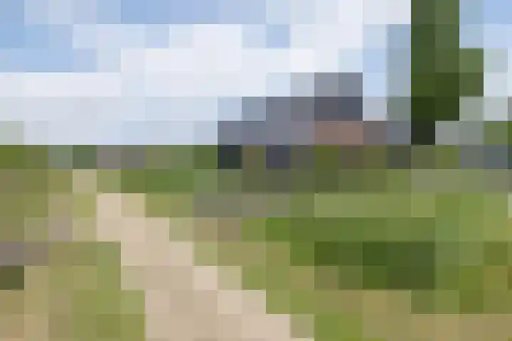 Delderveenweg 32 Zwartebroek thumbnail 39