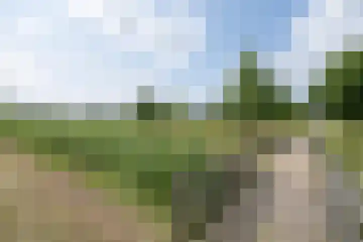 Delderveenweg 32 Zwartebroek thumbnail 40