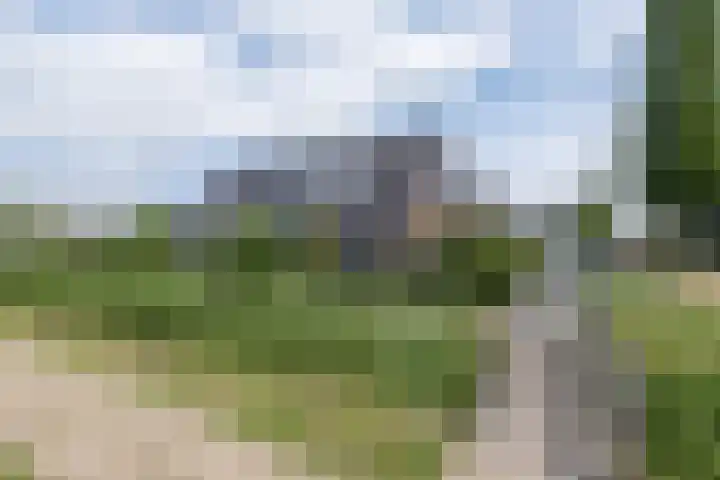Delderveenweg 32 Zwartebroek thumbnail 41